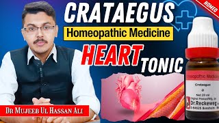 Crataegus Q Homeopathic Medicine Benefits  Crataegus Homeopathic Medicine Uses In Hindi [upl. by Ecyaj]