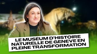 Le Muséum d’Histoire naturelle de Genève en pleine transformation [upl. by Eelsew]