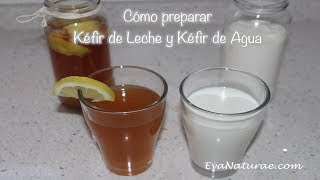 Cómo preparar Kéfir de Leche y Kéfir de Agua [upl. by Osrock379]