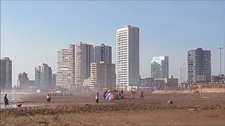 Playa Brava Iquique Chile [upl. by Candy25]