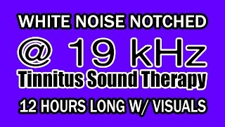 White Noise  Notch Filtered at 19 kHz for Tinnitus Therapy w Visuals [upl. by Rinaldo]