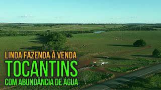 A MELHOR FAZENDA À VENDA NO TOCANTINS PARA AGRICULTURA IRRIGADA I NAS MARGENS DA BR153 [upl. by Butta]