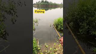 Sunny Fishing video shorts fishing tiktok fish [upl. by Sollows]