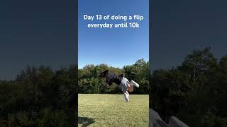 Day 13 of doing a flip everyday until 10k subs flip subscribe viralvideo shorts [upl. by Jarrow]