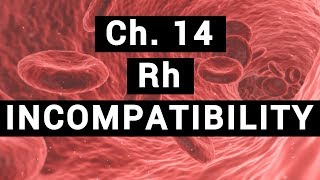 Ch14 Rh INCOMPATIBILITY  BLOOD PHYSIOLOGY [upl. by Ailec]