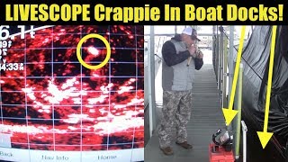 How to catch Crappie in Docks with [upl. by Young]