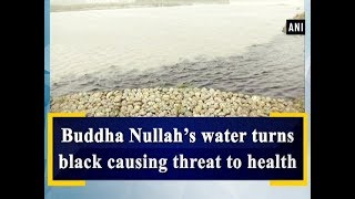 Buddha Nullah’s water turns black causing threat to health  Punjab News [upl. by Hally906]