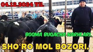 Toshkent vilQibray tumani OʻnqoʻrgʻonShoʻro Mol BozoriBoqma Buqa Narhlari [upl. by Adekam]