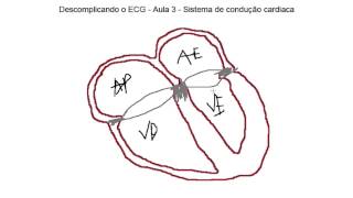 Descomplicando o ECG  Aula 3  Sistema de condução cardiaca [upl. by Margalo]