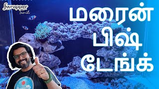 How to Set Up Marine Fish Tank in TAMIL  Easy StepbyStep Guide [upl. by Siul]