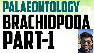 Geology palaeontology lecture series brachiopoda [upl. by Rexferd]