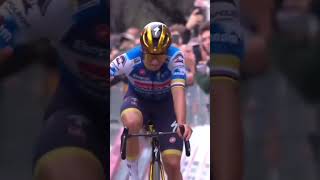 🥺 Lémotion de Remco Evenepoel shorts cycling evenepoel [upl. by Celene]