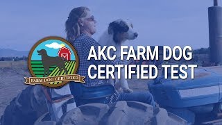 AKC Farm Dog Certified Test [upl. by Weidman989]