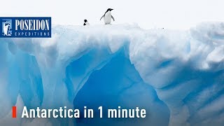 Antarctica in 1 minute  The seventh continent [upl. by Reis]