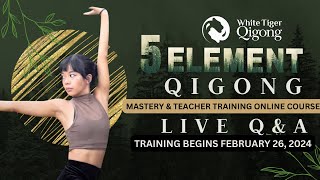 Discover the Power of 5 Element Qigong Live QampA with Elly ☯️ [upl. by Cherlyn]