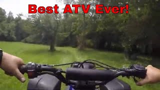 Yamaha Blaster Survives Rodent Invasion My Dream Quad Lives [upl. by Brader]