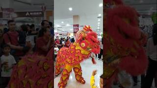 TERNYATA PENGUNJUNG PADA TAKUT ATRAKSI BARONGSAI DI MALL [upl. by Esteban826]