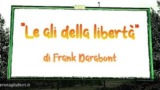 Recensione del film quotLe ali della libertàquot d Frank Darabont 1994 [upl. by Dasha]