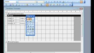 Access 2003 Insertar calendario en un formulario  wwwofimaticaparatorpescom [upl. by Asenev412]