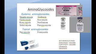 Pharmacology 743 b Aminoglycosides Streptomycin Gentamicin Toxicity Shared properties Ototoxicity [upl. by Nidya]