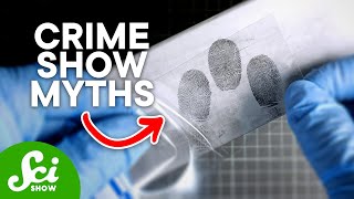 An Intro to Forensics The Science of Crime [upl. by Eehsar]