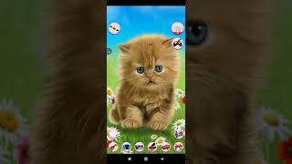 ИГРА TALKING BABY CAT [upl. by Laeira]