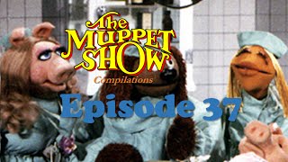 The Muppet Show Compilations  Episode 37 Veterinarians Hospital Season 3 [upl. by Gaylord635]