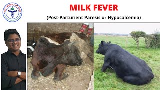 Milk Fever  Bovine Diseases  Lecture 04 [upl. by Aerdnua194]