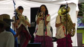 Mixanteña de Santa Cecilia  Quiero ir a la plaza y no tengo dinero HD [upl. by Alonzo115]