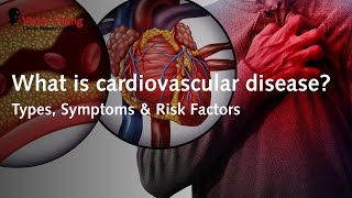 What is cardiovascular disease  Victor Chang Cardiac Research Institute [upl. by Yrak860]