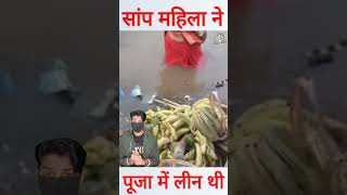 छठ पूजा के दौरान पानी में तैरते हुए आया सांप shorts chhathpuja [upl. by Deni]