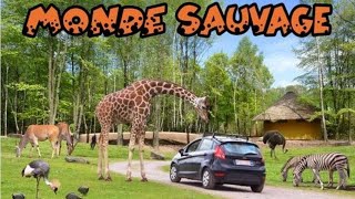 visite du zoo monde sauvage d aywaille [upl. by Rogovy]