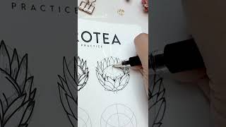 How 2 draw a PROTEA [upl. by Akirret]