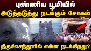 புண்ணிய பூமியில் அடுத்தடுத்து நடக்கும் சோகம் என்ன நடக்கிறது திருச்செந்தூரில்  Thiruchendur  PTD [upl. by Mcginnis]