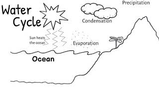 Water Cycle Short Simple Science [upl. by Rodgiva]