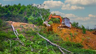 Excavator Paved The Way Up Mountain Break Down The Fence Fastest Way to Clear The Woods  Sa Mai [upl. by Netsirhk580]