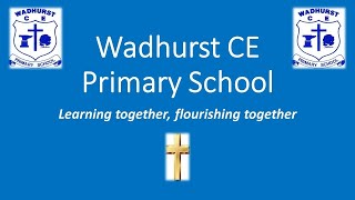 Wadhurst CE Primary School Film [upl. by Anrahc395]