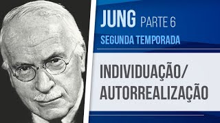 JUNG 6 – INDIVIDUAÇÃO AUTORREALIZAÇÃO  PSICOLOGIA ANALÍTICA SEGUNDA TEMPORADA [upl. by Einaffit]