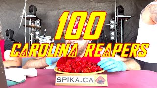 Eating 100 Carolina Reaper Chilli Pepper Giantstock 2024 in Nova Scotia [upl. by Clyve]