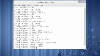 Tutorial 6  Regular expression and grep command Arabic [upl. by Anuhsal]