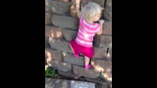 2 year old girl climbing a rock wall [upl. by Tarrel409]