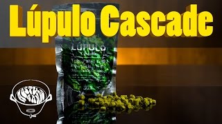 Lúpulo Cascade — Campeão das IPAs [upl. by Oram322]