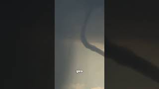 ¡Descubre Cómo se Forman los Tornados 🌪️🌪️ Curiosidades Ciencia Shorts [upl. by Trovillion]