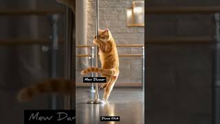 Cat Dancer Extraordinaire The Purrfect Moves You Can’t Unsee catlovers dance [upl. by Fredi822]