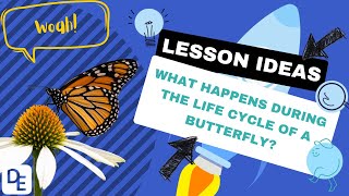 What happens during the life cycle of a butterfly [upl. by Odlanyer133]