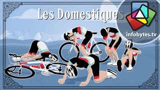 The Tour De France Explained in Animation [upl. by Alfie897]