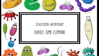 Schistosoma Haematobium [upl. by Edijabab]