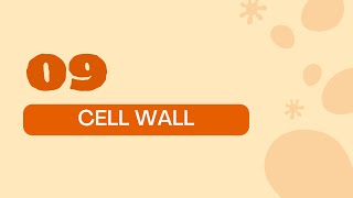 STPM BIOLOGY SEM 1 CHAPTER 2  ORGANELLES  PLANT CELL WALL  STRUCTURE amp FUNCTION  PLANT CELL [upl. by Fridell99]