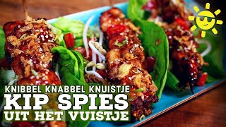 Hoe gril je KIPSPIES op de BBQ Simpele recepten zijn vaak het lekkerst [upl. by Fariss]