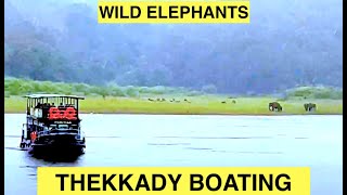 Thekkady Boating  Periyar Lake  Kerala Wildlife  Elephants Deers Gaurs in their Natural Habitat [upl. by Husha328]